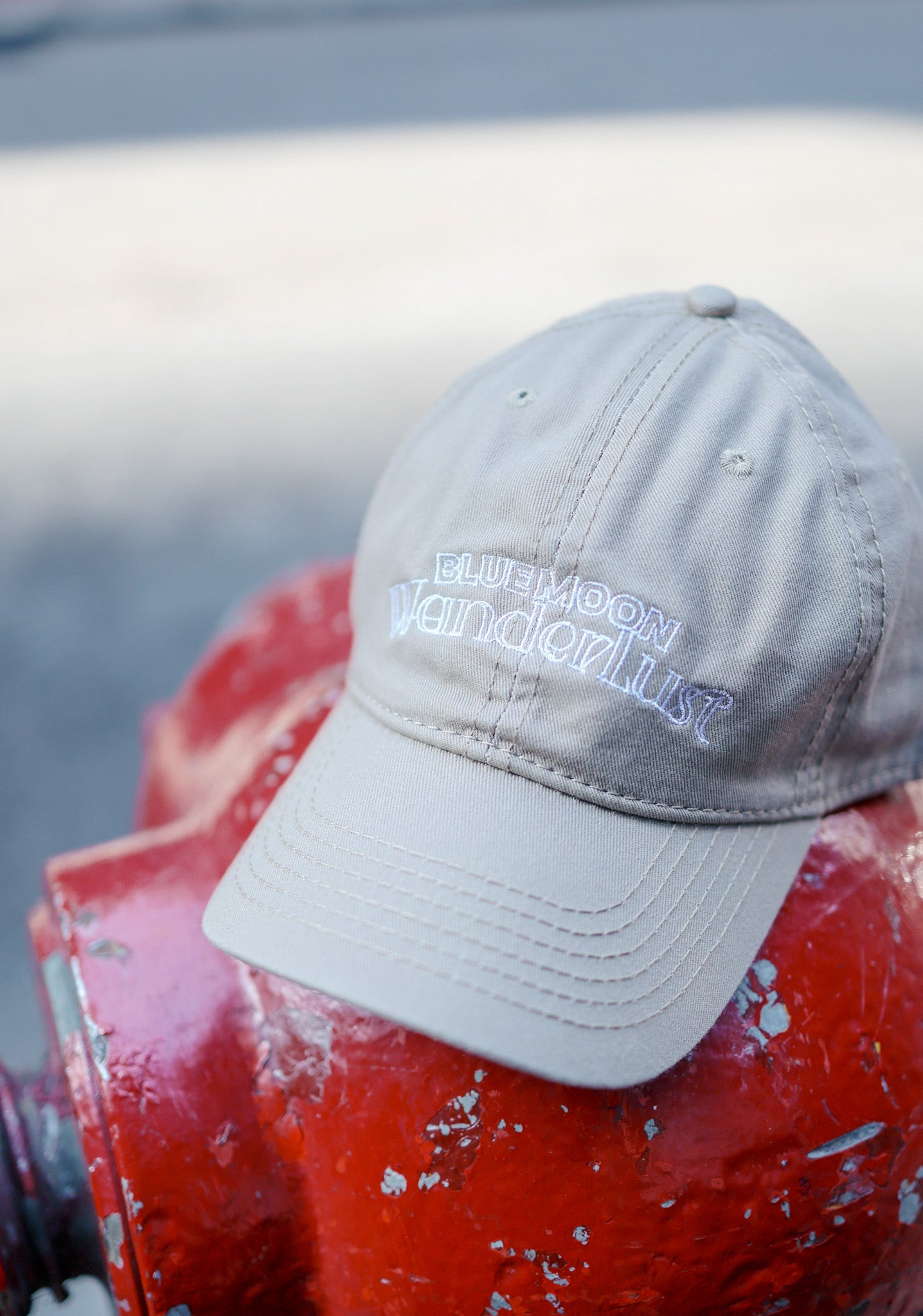 Bluemoon Wanderlust Cap (Navy / Beige)